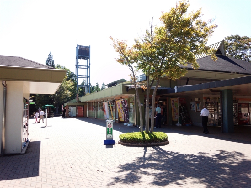 f:id:Margatroid:20160309145359j:plain