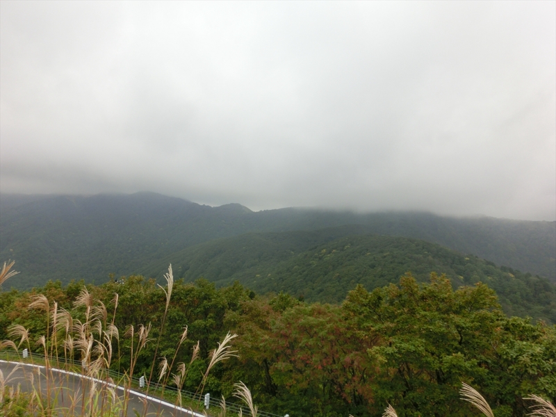 f:id:Margatroid:20160309145452j:plain