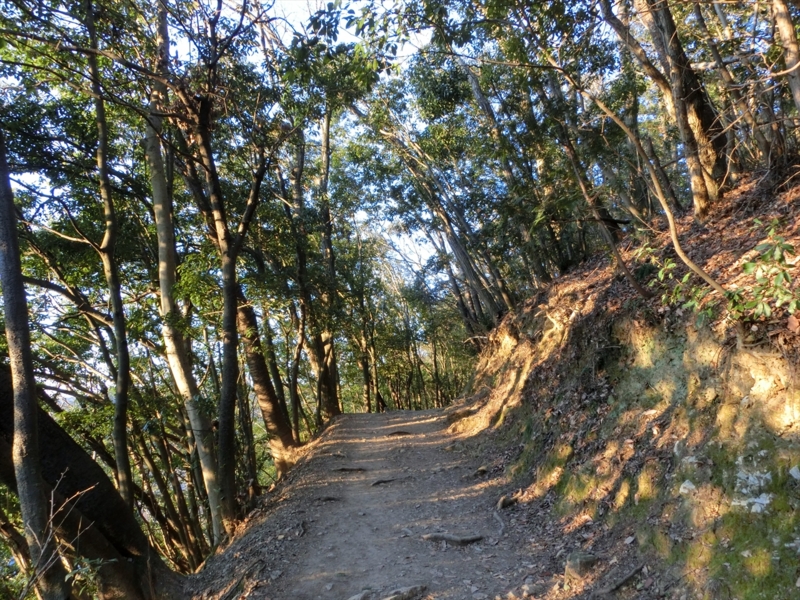 f:id:Margatroid:20160403201259j:plain f:id:Margatroid:20160403201259j:plain