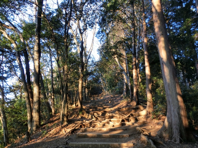 f:id:Margatroid:20160403201300j:plain f:id:Margatroid:20160403201300j:plain