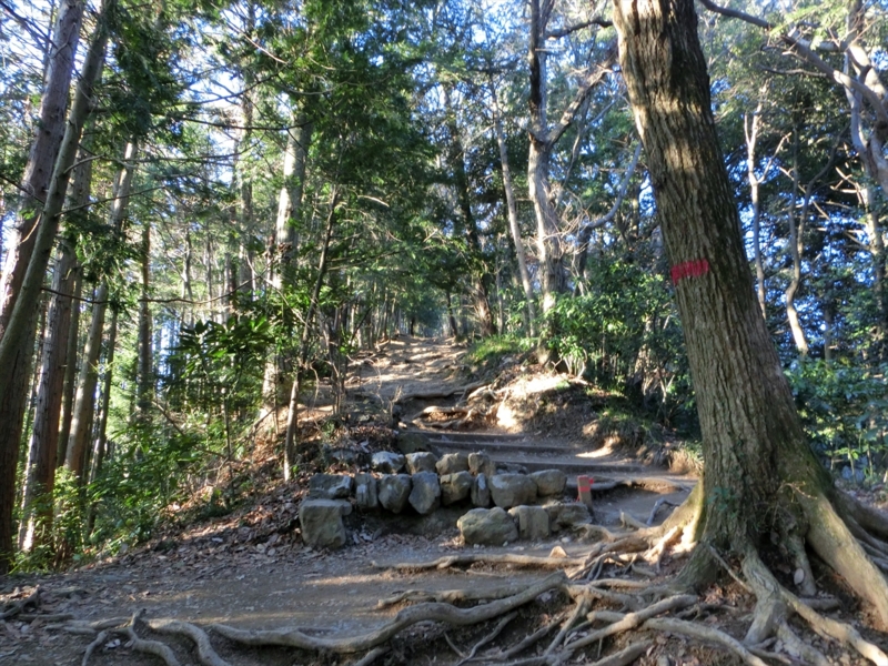 f:id:Margatroid:20160403201302j:plain f:id:Margatroid:20160403201302j:plain