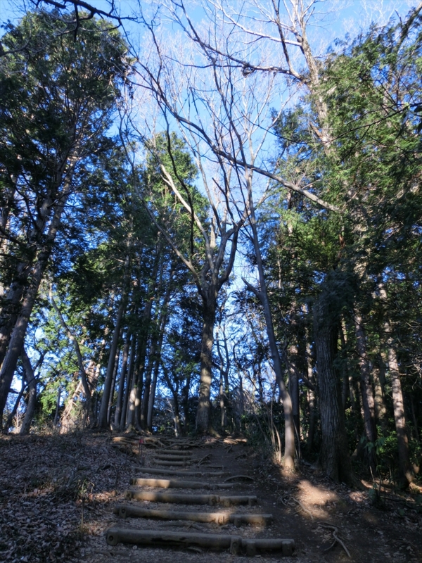 f:id:Margatroid:20160403201303j:plain f:id:Margatroid:20160403201303j:plain