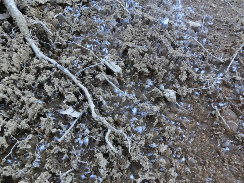 f:id:Margatroid:20160403201304j:plain f:id:Margatroid:20160403201304j:plain