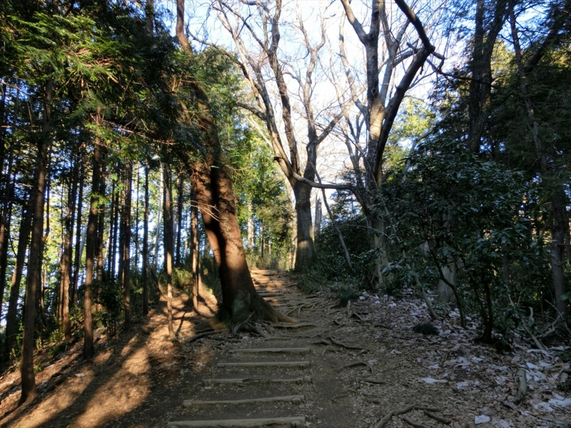 f:id:Margatroid:20160403201305j:plain f:id:Margatroid:20160403201305j:plain