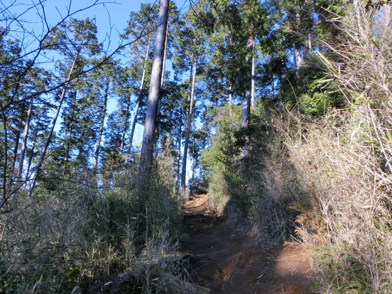 f:id:Margatroid:20160403201306j:plain f:id:Margatroid:20160403201306j:plain