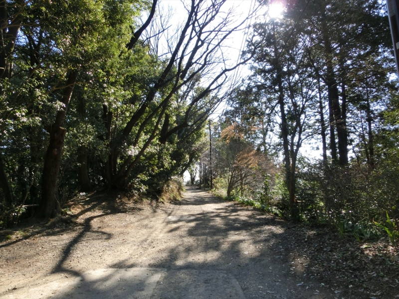 f:id:Margatroid:20160403201328j:plain f:id:Margatroid:20160403201328j:plain