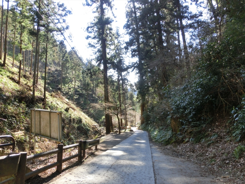 f:id:Margatroid:20160403201331j:plain f:id:Margatroid:20160403201331j:plain