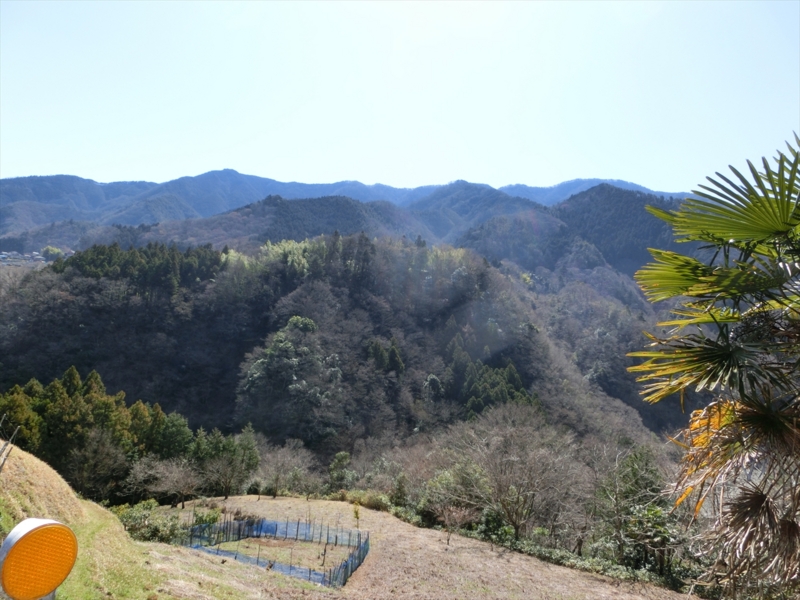 f:id:Margatroid:20160403201346j:plain f:id:Margatroid:20160403201346j:plain