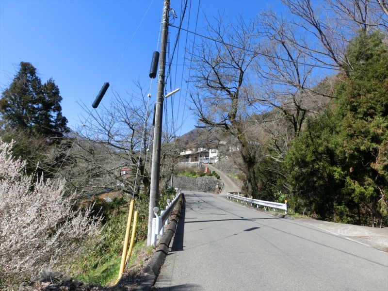 f:id:Margatroid:20160403201347j:plain f:id:Margatroid:20160403201347j:plain