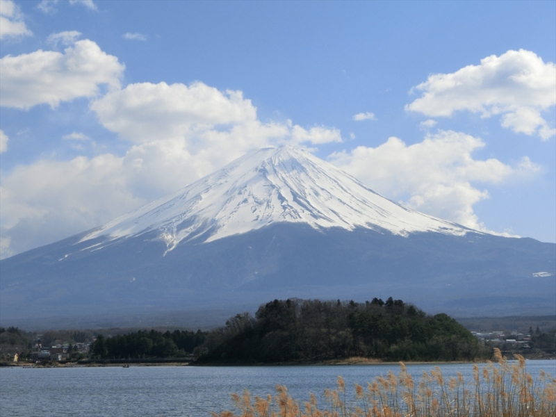 f:id:Margatroid:20160503143105j:plain f:id:Margatroid:20160503143105j:plain