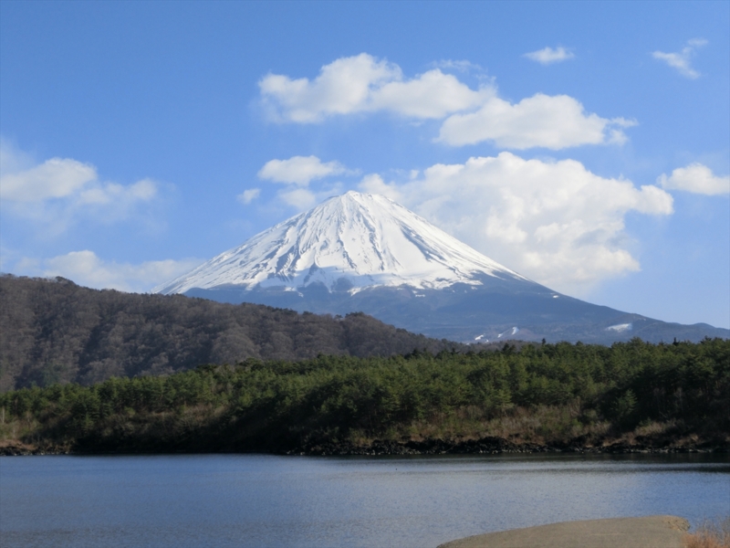 f:id:Margatroid:20160503143114j:plain f:id:Margatroid:20160503143114j:plain