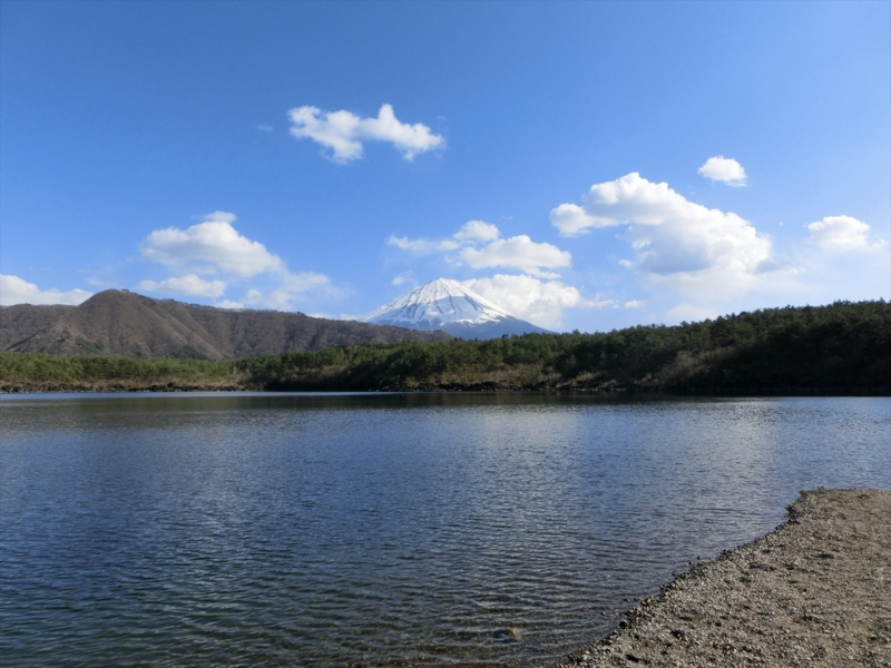 f:id:Margatroid:20160503143115j:plain f:id:Margatroid:20160503143115j:plain