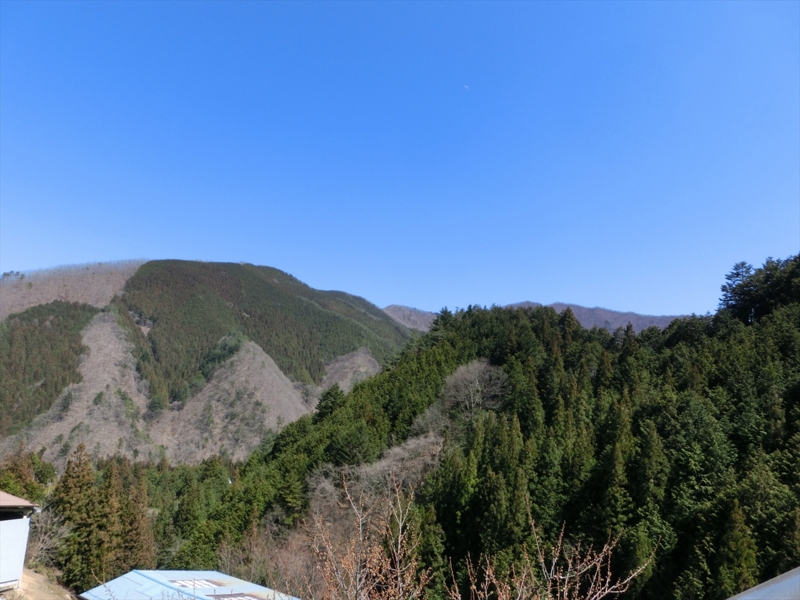 f:id:Margatroid:20160503143150j:plain