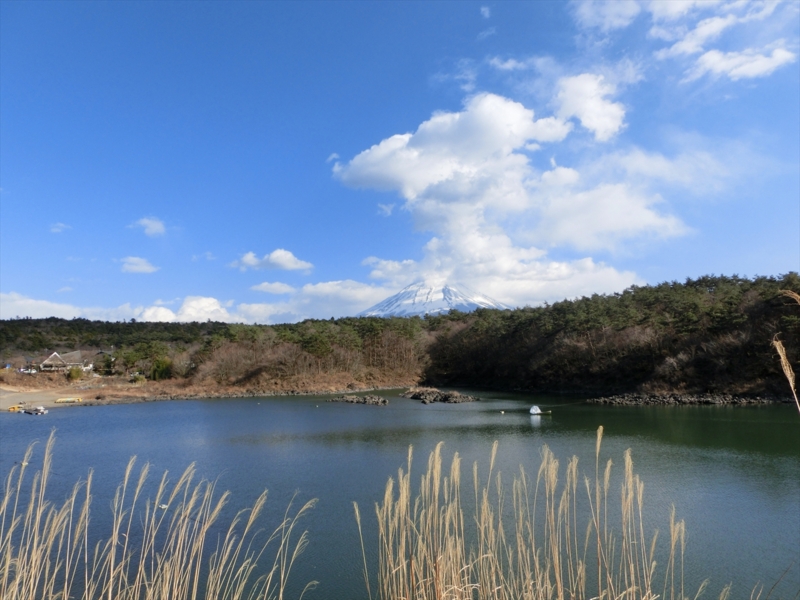 f:id:Margatroid:20160503143204j:plain f:id:Margatroid:20160503143204j:plain