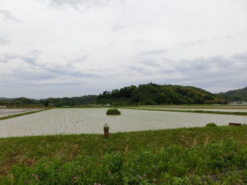 f:id:Margatroid:20160505103910j:plain f:id:Margatroid:20160505103910j:plain