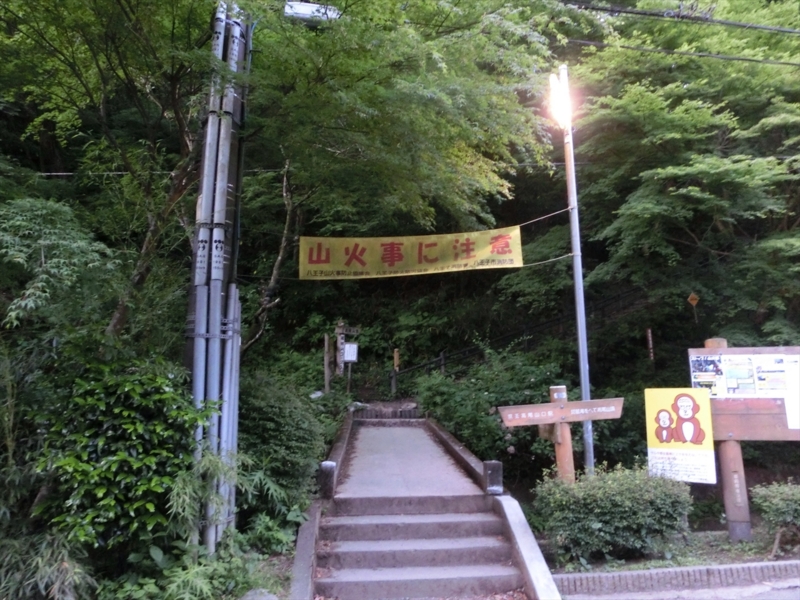 f:id:Margatroid:20160505120808j:plain