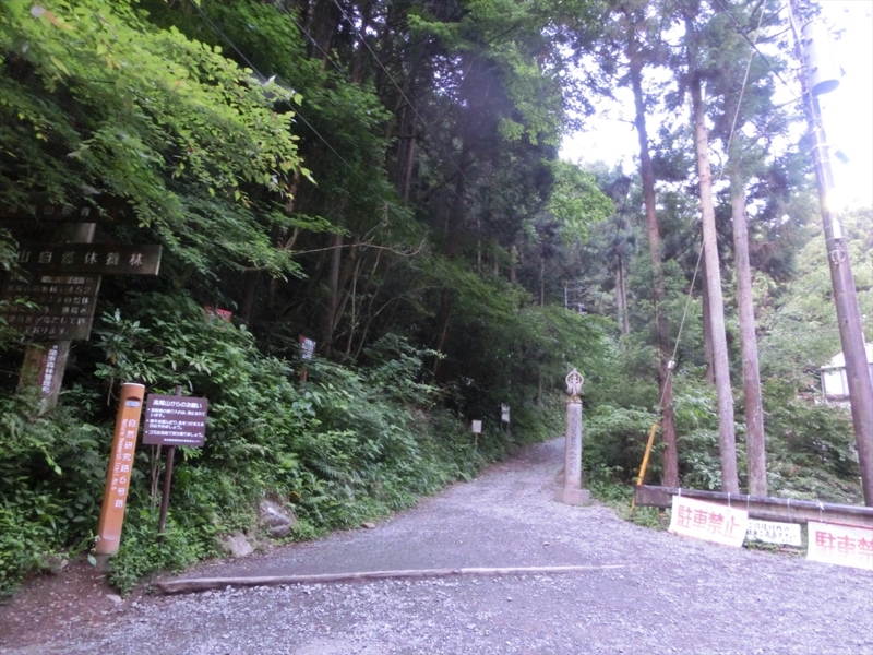 f:id:Margatroid:20160505120810j:plain