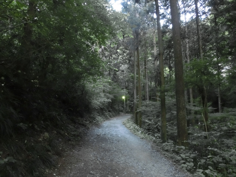 f:id:Margatroid:20160505120811j:plain