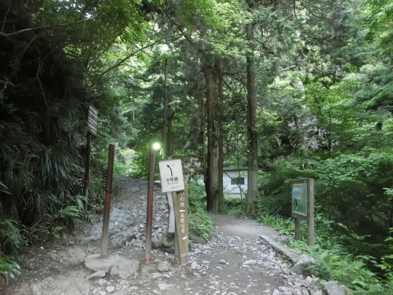 f:id:Margatroid:20160505120812j:plain