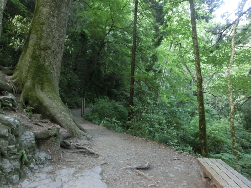 f:id:Margatroid:20160505120815j:plain