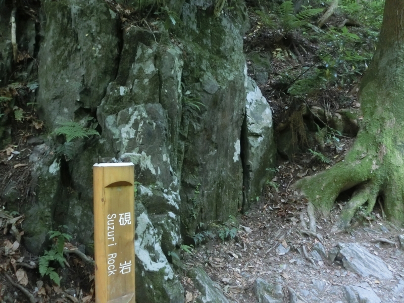 f:id:Margatroid:20160505120816j:plain