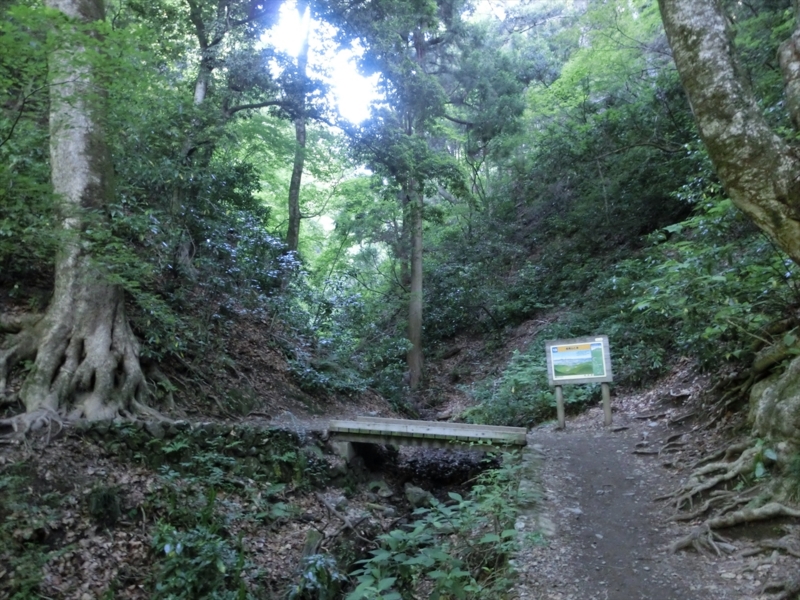 f:id:Margatroid:20160505120818j:plain