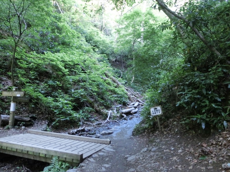 f:id:Margatroid:20160505120819j:plain