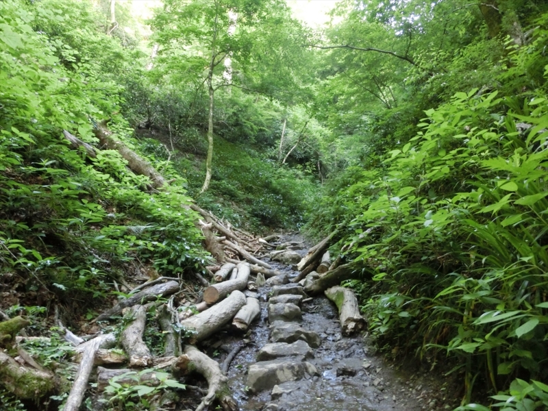 f:id:Margatroid:20160505120820j:plain