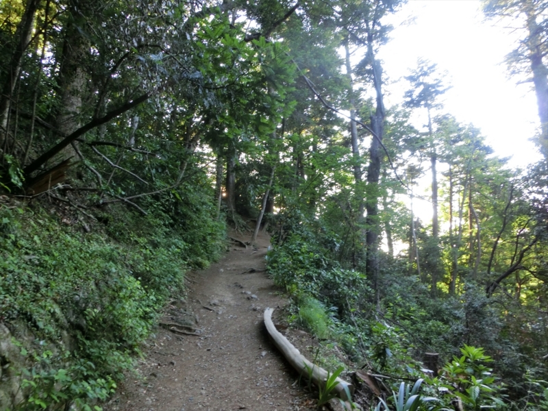 f:id:Margatroid:20160505120821j:plain