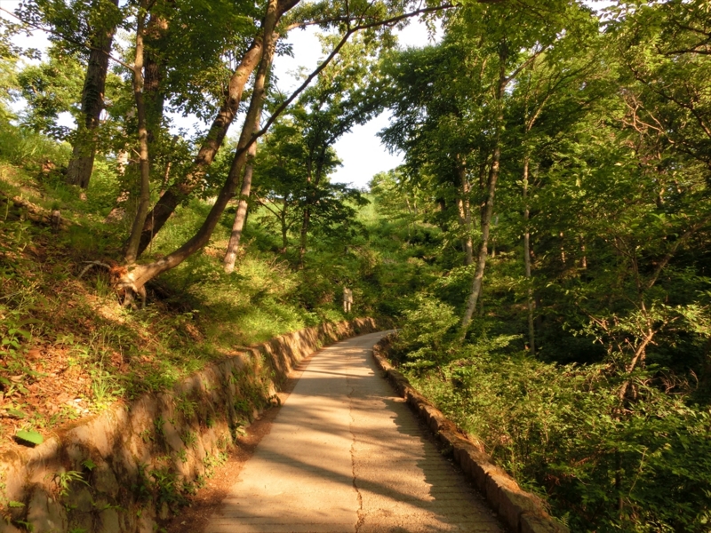 f:id:Margatroid:20160505120823j:plain