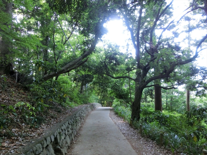 f:id:Margatroid:20160505120829j:plain