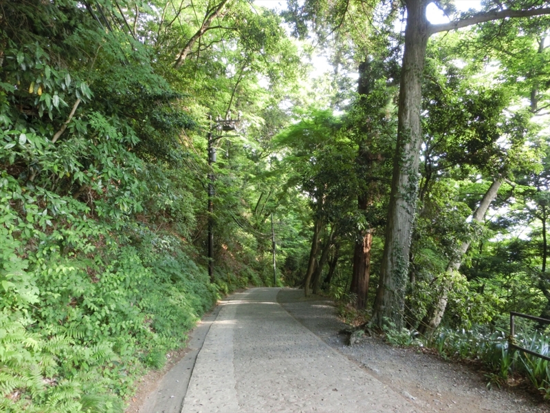 f:id:Margatroid:20160505120834j:plain