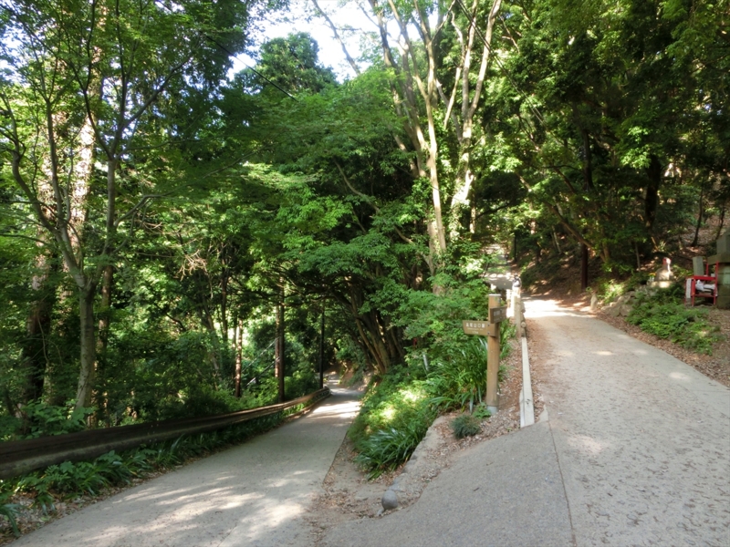 f:id:Margatroid:20160505120835j:plain