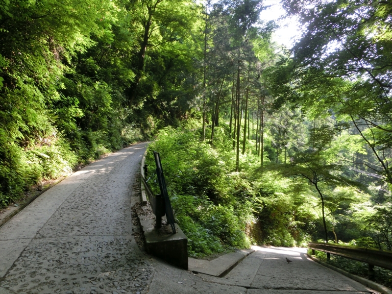 f:id:Margatroid:20160505120836j:plain