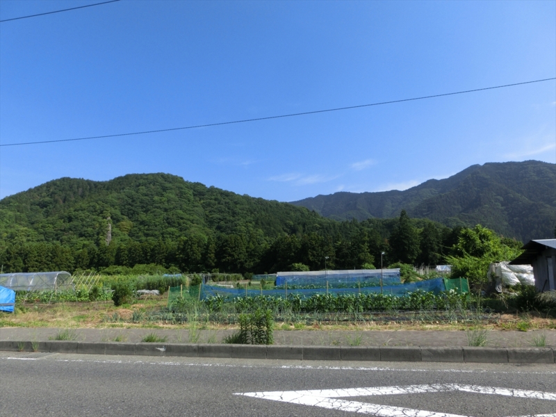 f:id:Margatroid:20160505120843j:plain