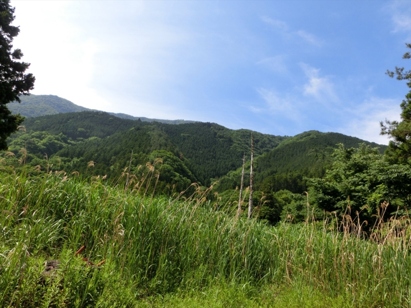 f:id:Margatroid:20160505120849j:plain