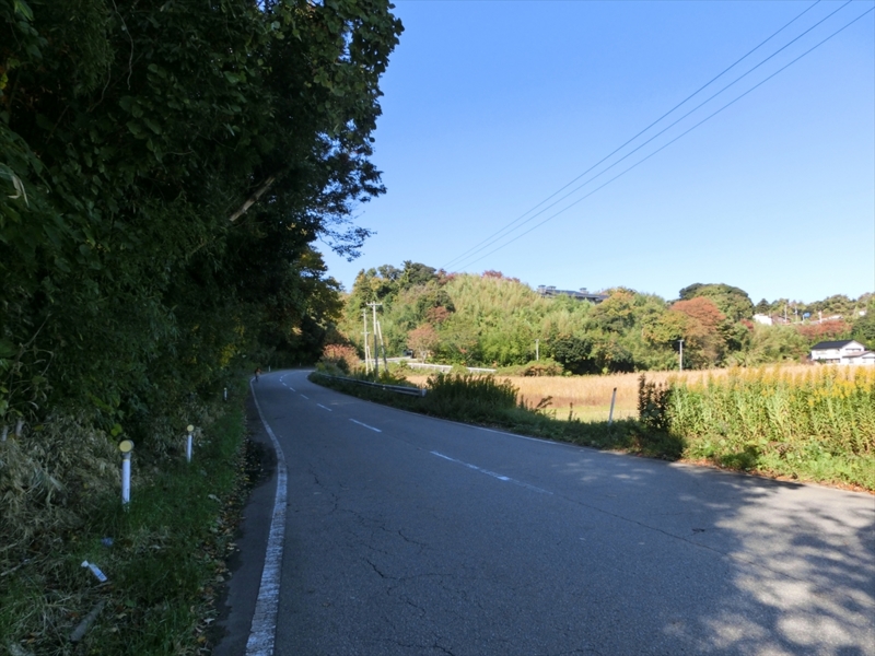 f:id:Margatroid:20160609124921j:plain f:id:Margatroid:20160609124921j:plain