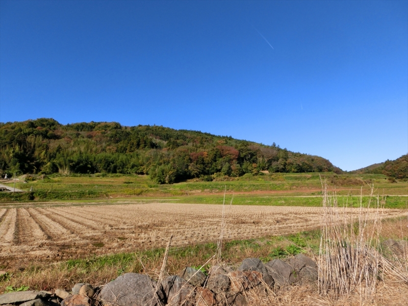 f:id:Margatroid:20160609124937j:plain f:id:Margatroid:20160609124937j:plain