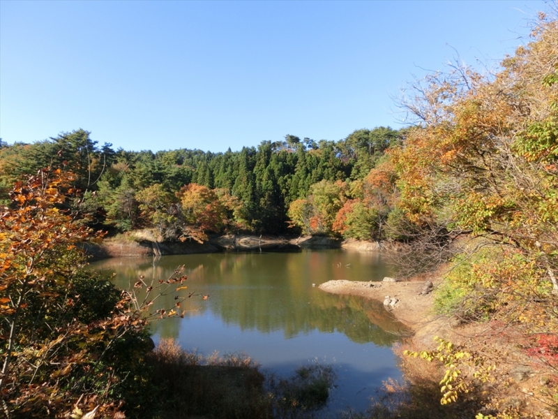 f:id:Margatroid:20160609124947j:plain f:id:Margatroid:20160609124947j:plain