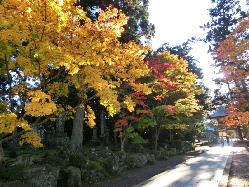 f:id:Margatroid:20160609124957j:plain f:id:Margatroid:20160609124957j:plain