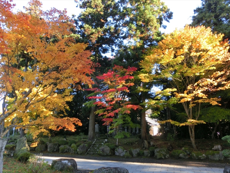 f:id:Margatroid:20160609124959j:plain f:id:Margatroid:20160609124959j:plain