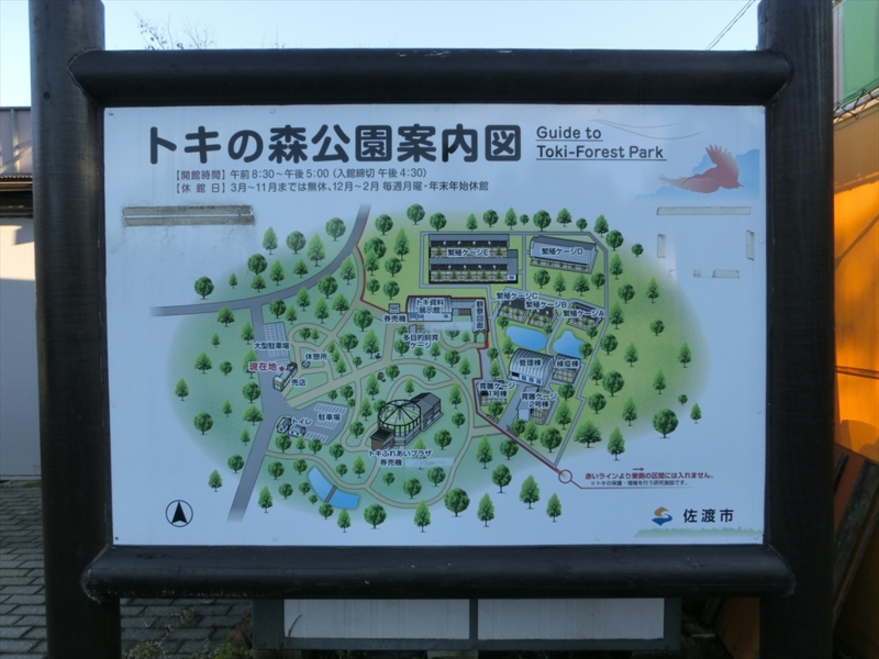 f:id:Margatroid:20160609125007j:plain f:id:Margatroid:20160609125007j:plain