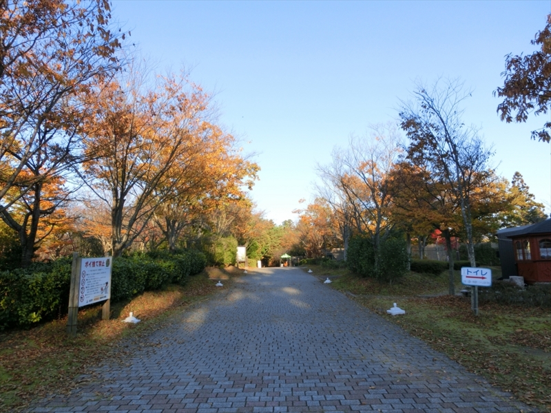 f:id:Margatroid:20160609125009j:plain f:id:Margatroid:20160609125009j:plain