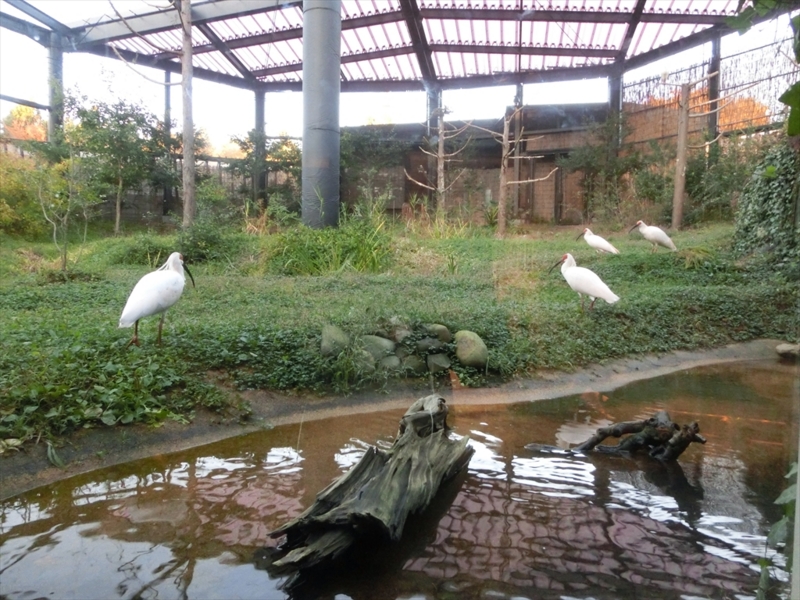 f:id:Margatroid:20160609125014j:plain f:id:Margatroid:20160609125014j:plain