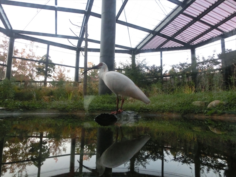 f:id:Margatroid:20160609125015j:plain f:id:Margatroid:20160609125015j:plain