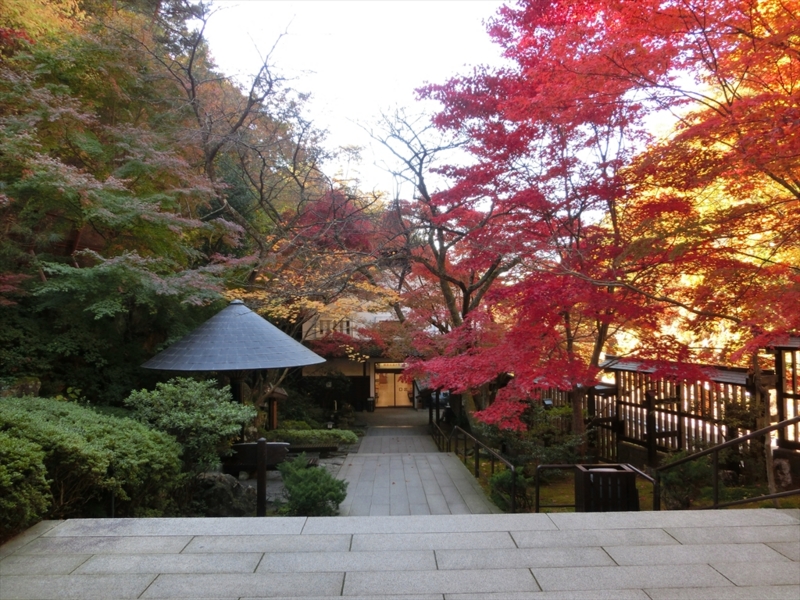 f:id:Margatroid:20160609125029j:plain