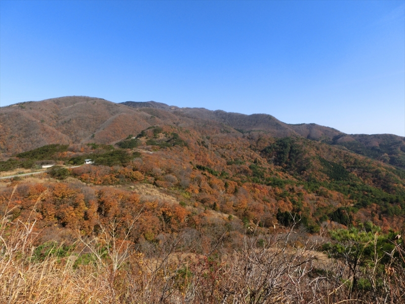 f:id:Margatroid:20160609125034j:plain