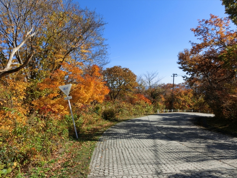 f:id:Margatroid:20160609125047j:plain