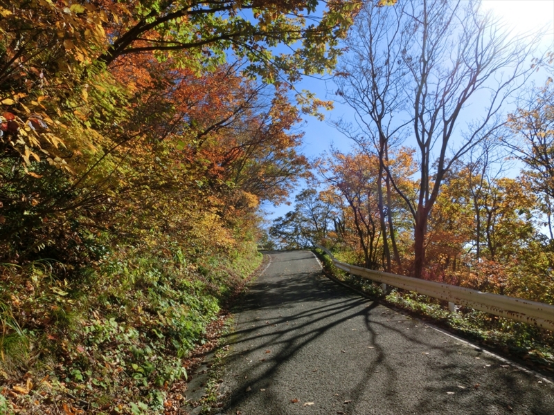 f:id:Margatroid:20160609125057j:plain