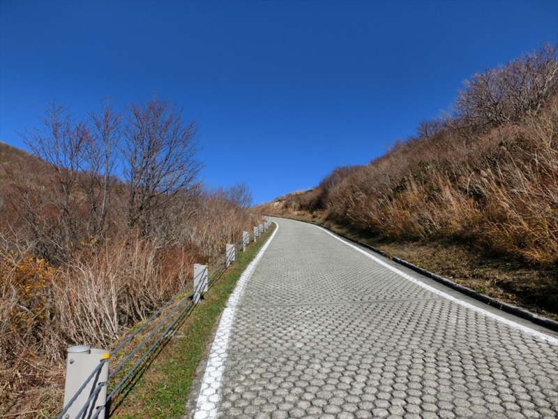 f:id:Margatroid:20160609125101j:plain